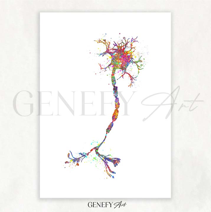 Motor Neuron Watercolour Print