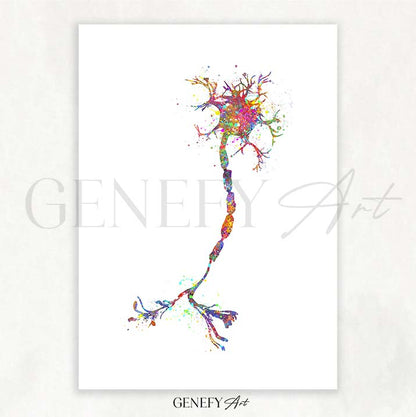 Motor Neuron Watercolour Print