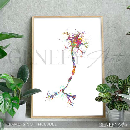 Motor Neuron Watercolour Print