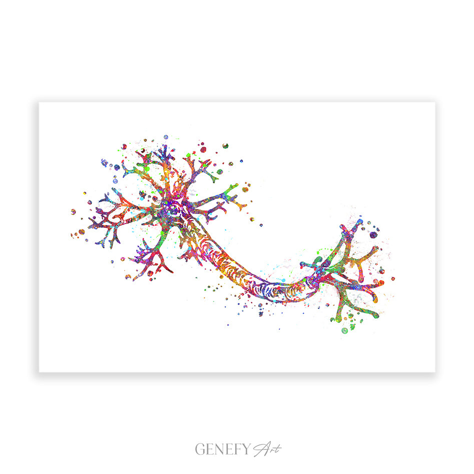 Nerve Cell Watercolour Art Print