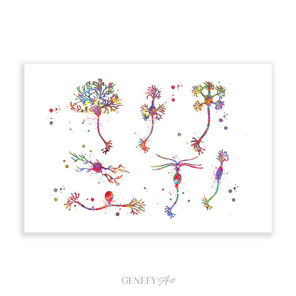 Neuron Cells Watercolour Print