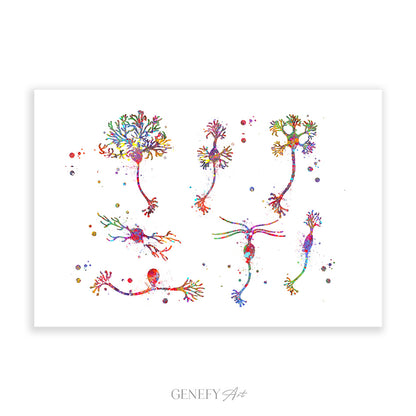 Neuron Cells Watercolour Print
