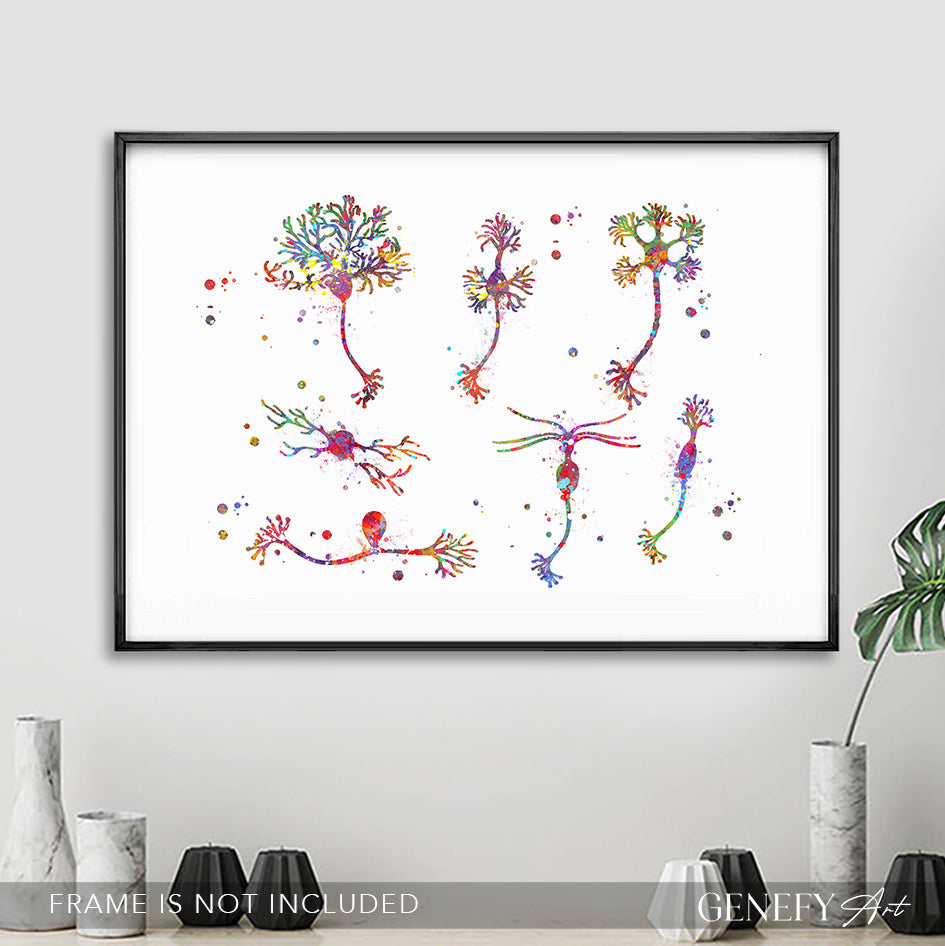 Neuron Cells Watercolour Print