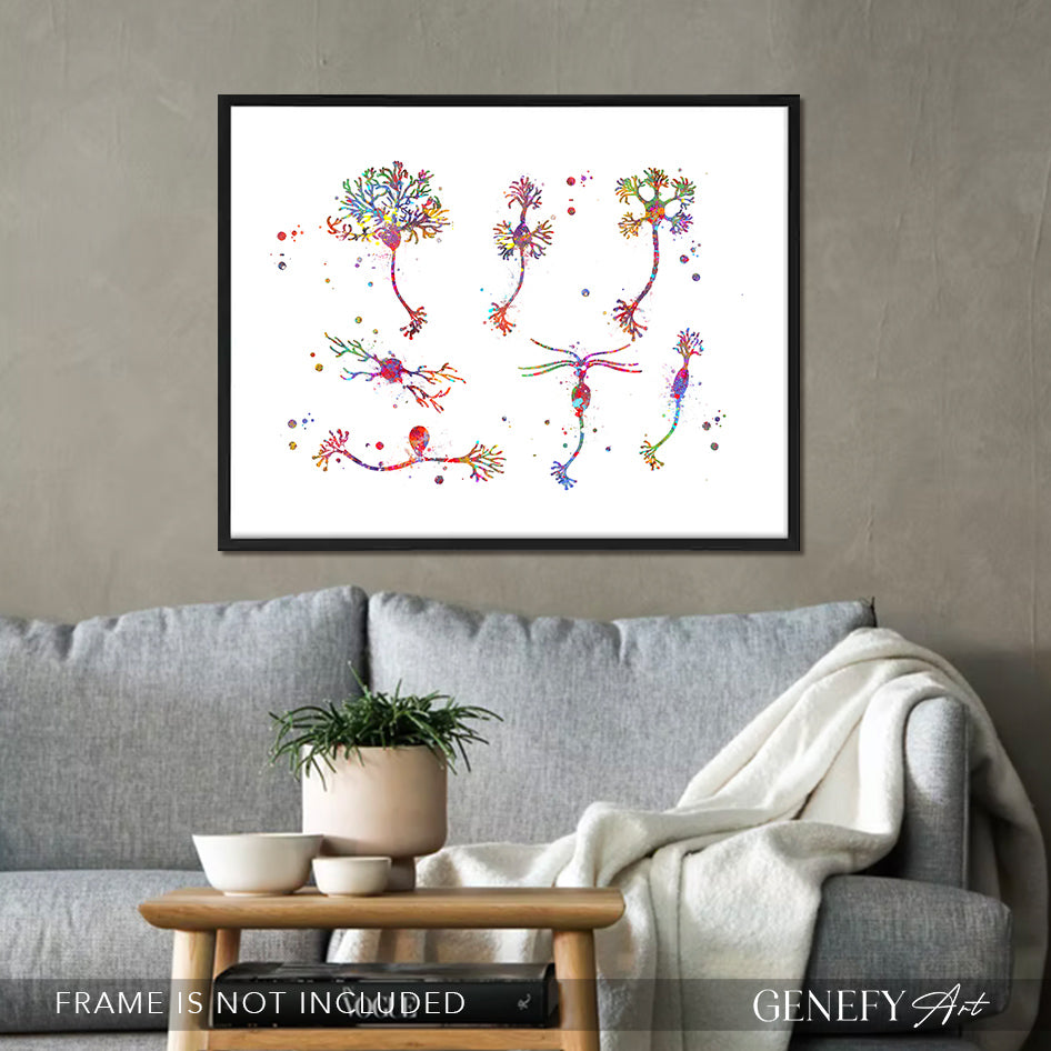 Neuron Cells Watercolour Print