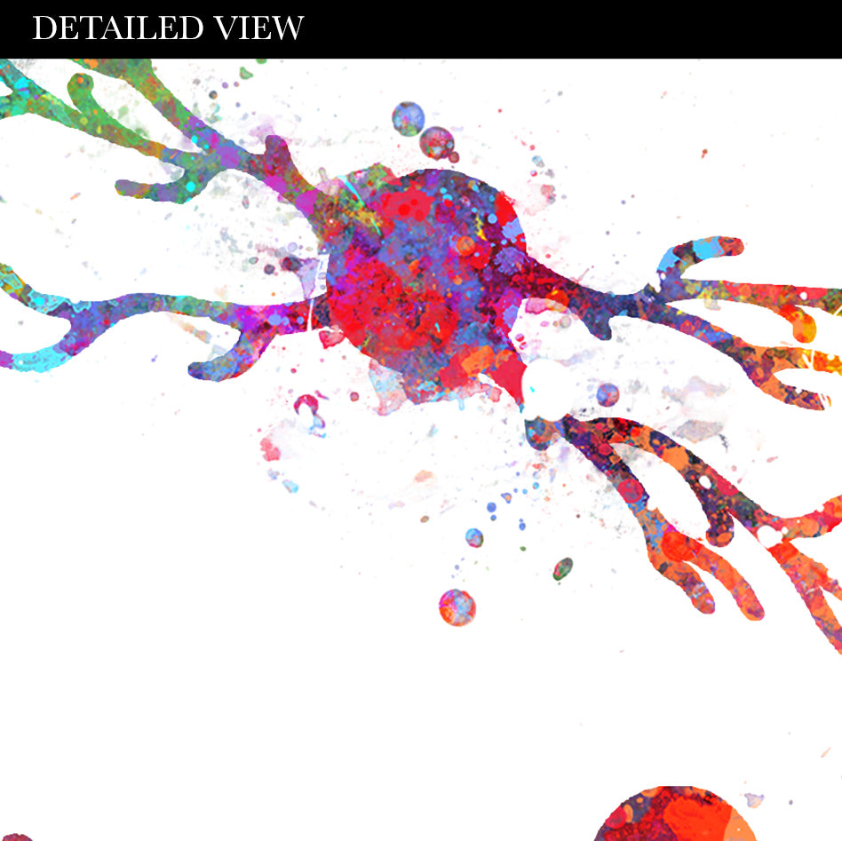 Neuron Cells Watercolour Print