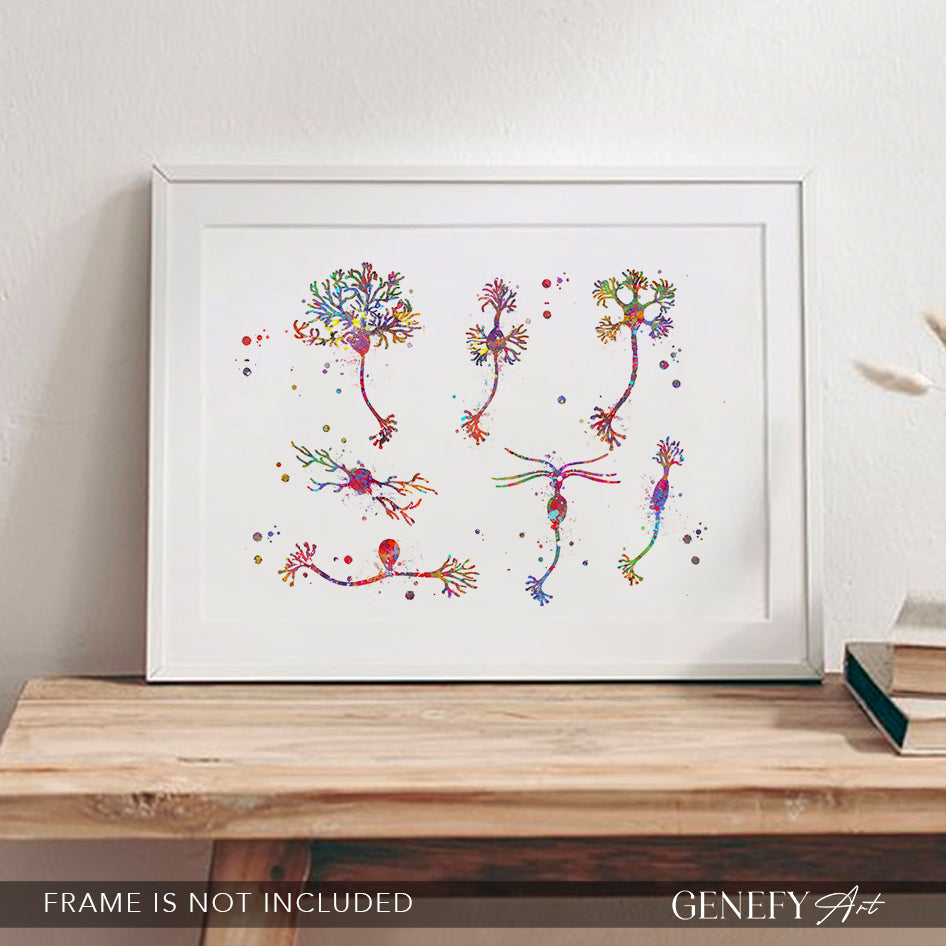 Neuron Cells Watercolour Print