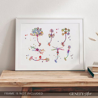 Neuron Cells Watercolour Print