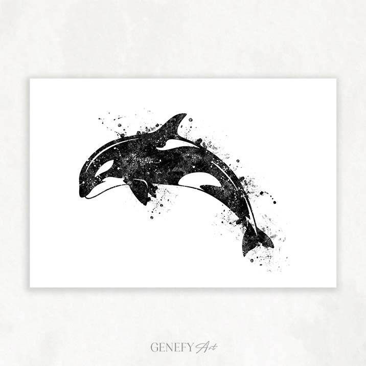 Orca Killer Whale Black and White Watercolour Print