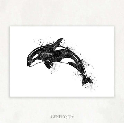 Orca Killer Whale Black and White Watercolour Print
