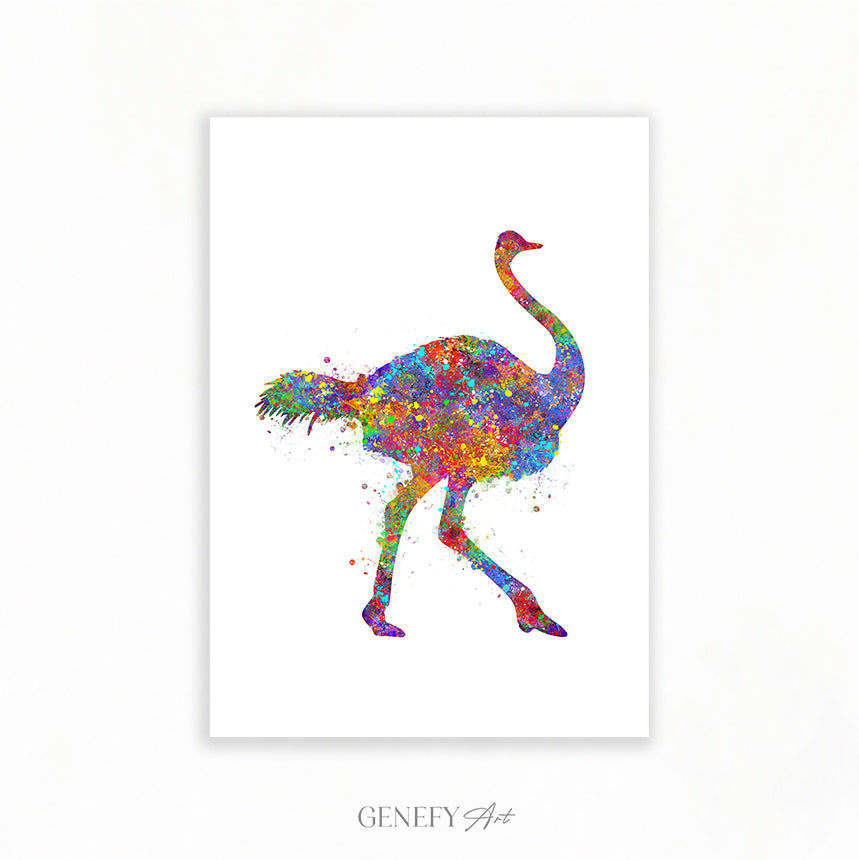 Ostrich Watercolour Art Print