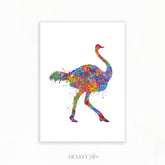 Ostrich Watercolour Art Print