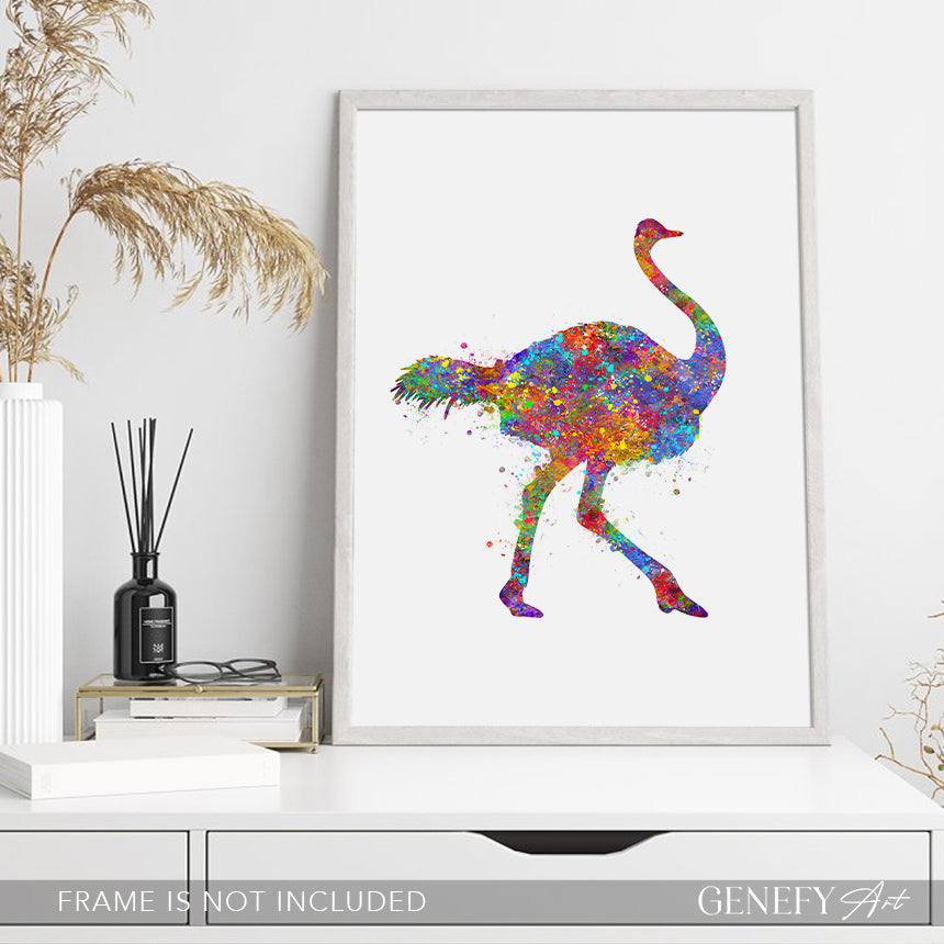 Ostrich Watercolour Art Print