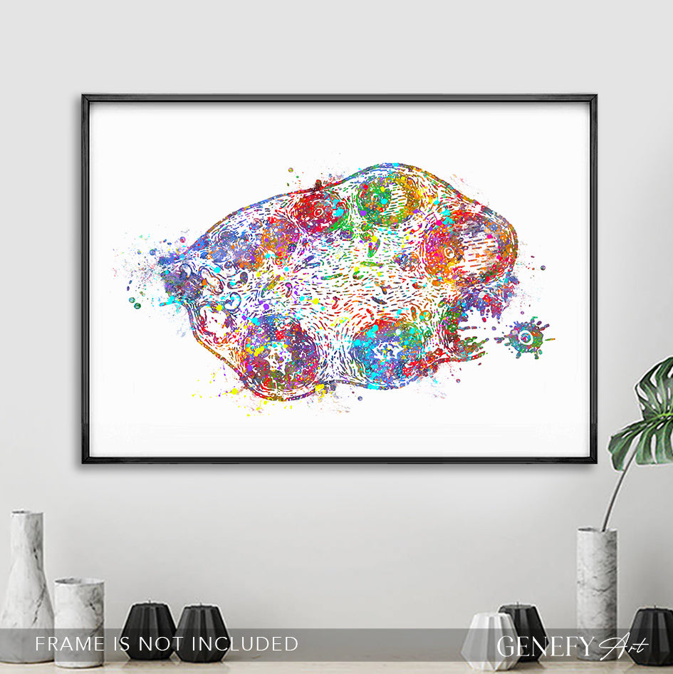 Ovary Anatomy Watercolour Art Print