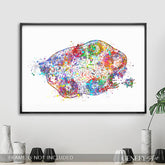 Ovary Anatomy Watercolour Art Print
