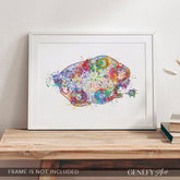 Ovary Anatomy Watercolour Art Print