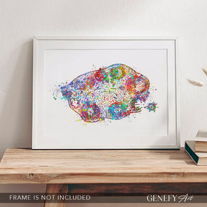 Ovary Anatomy Watercolour Art Print