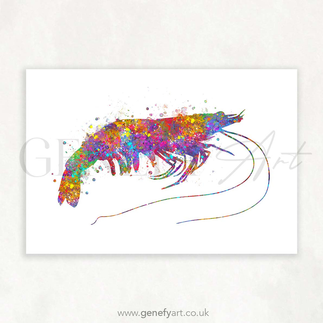 Prawn Watercolour Print - Genefy Art