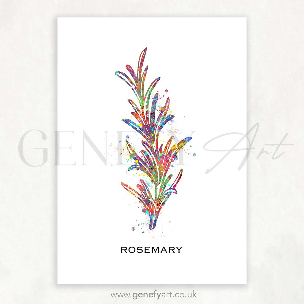 Rosemary Herb Watercolour Print - Genefy Art