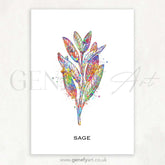 Sage Herb Watercolour Print - Genefy Art