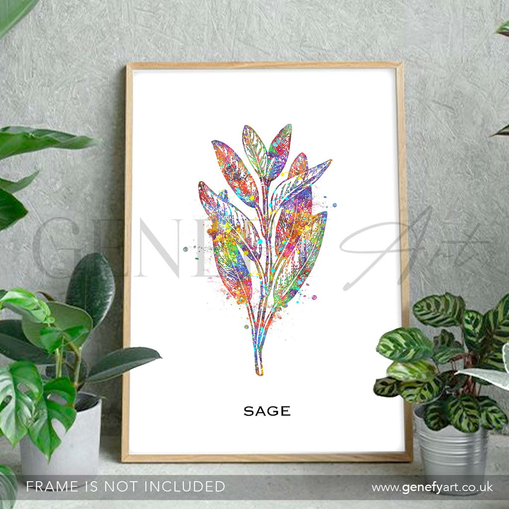 Sage Herb Watercolour Print - Genefy Art
