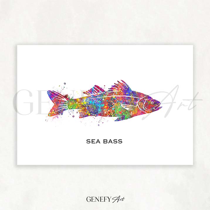 Sea Bass Fish Watercolour Print