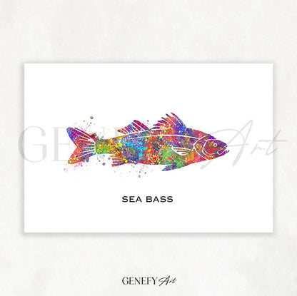 Sea Bass Fish Watercolour Print
