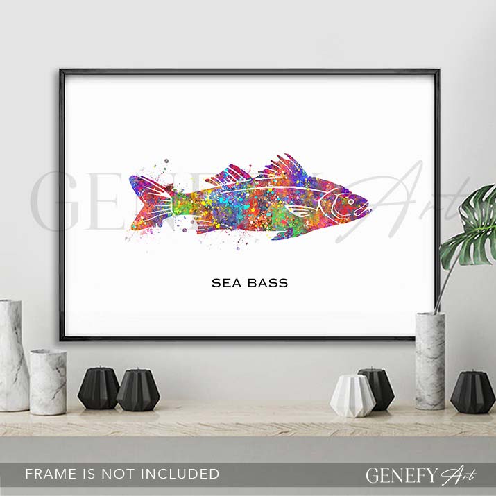 Sea Bass Fish Watercolour Print