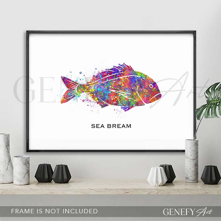 Sea Bream Fish Watercolour Print