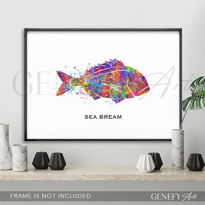 Sea Bream Fish Watercolour Print