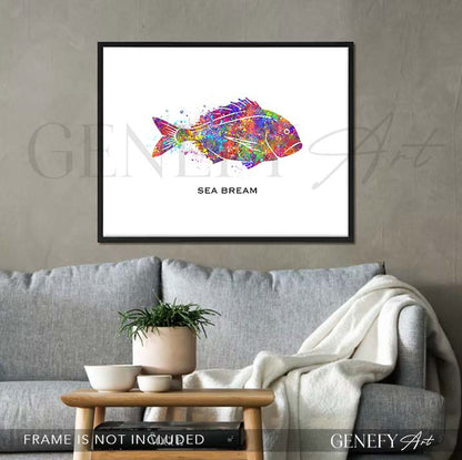 Sea Bream Fish Watercolour Print