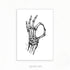 hand skeleton anatomy print