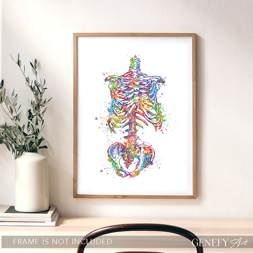 Human Skeleton Torso Art Print