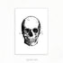 Skull Black and White Watercolour Art Print