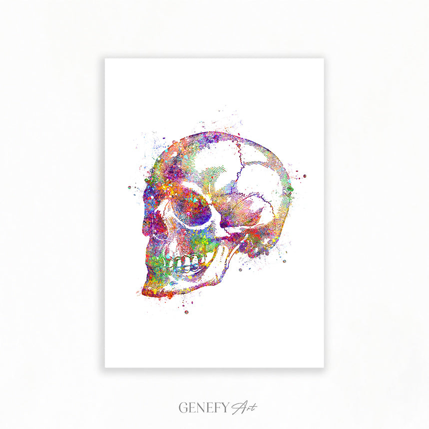 Human Skull Watercolour Art Print