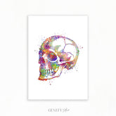 Human Skull Watercolour Art Print