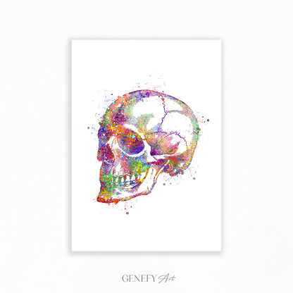 Human Skull Watercolour Art Print