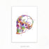 Human Skull Watercolour Art Print
