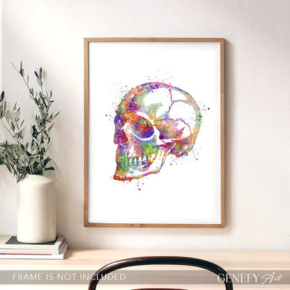 Human Skull Watercolour Art Print