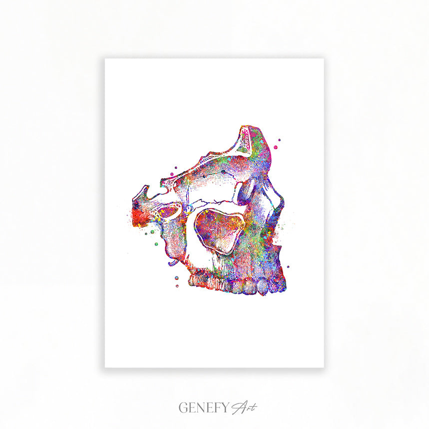 Human Skull Watercolour Art Print