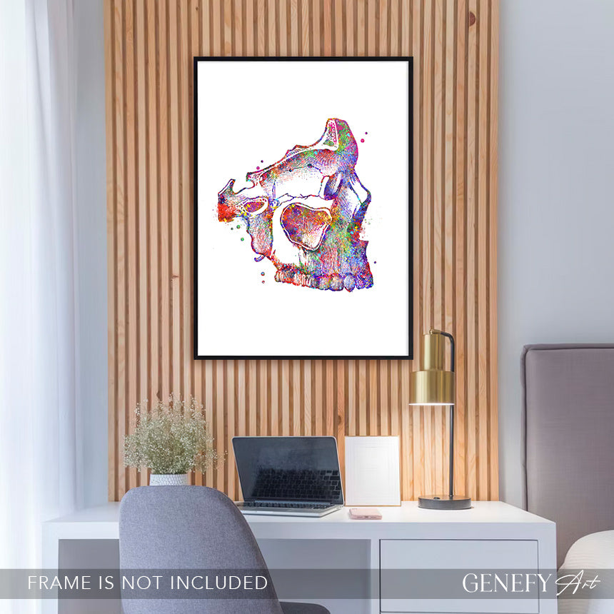 Human Skull Watercolour Art Print
