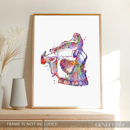 Human Skull Watercolour Art Print