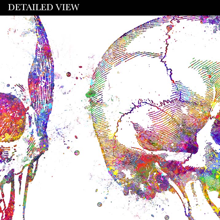 Skull Watercolour Art Print
