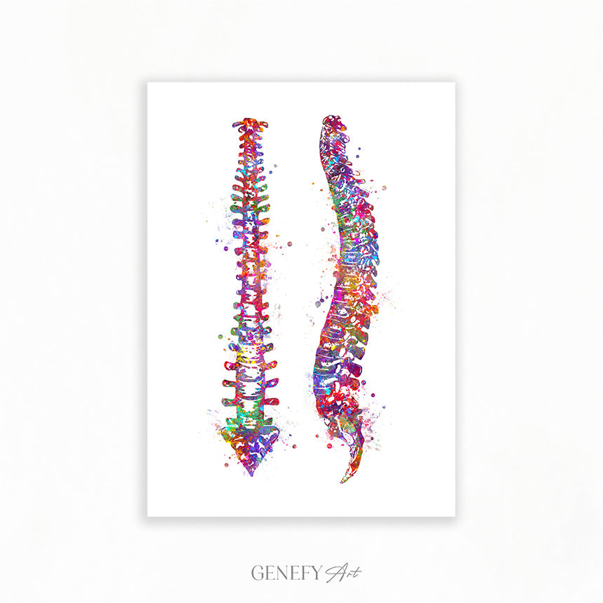 Vertebrae Spinal Cord Watercolour Print - Genefy Art