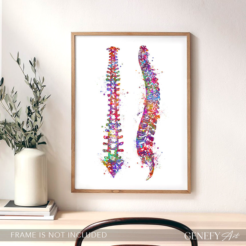 Vertebrae Spinal Cord Watercolour Print - Genefy Art