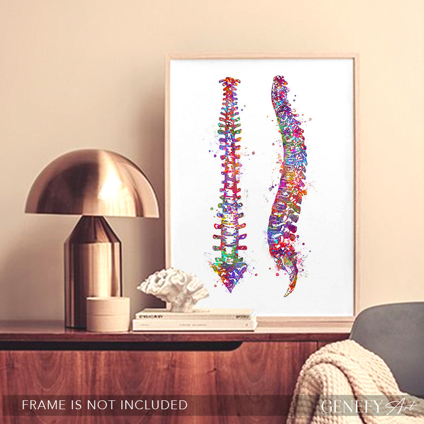 Vertebrae Spinal Cord Watercolour Print - Genefy Art