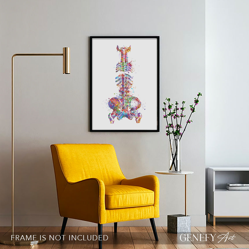 Spine and Pelvis Bone Anatomy Watercolour Print