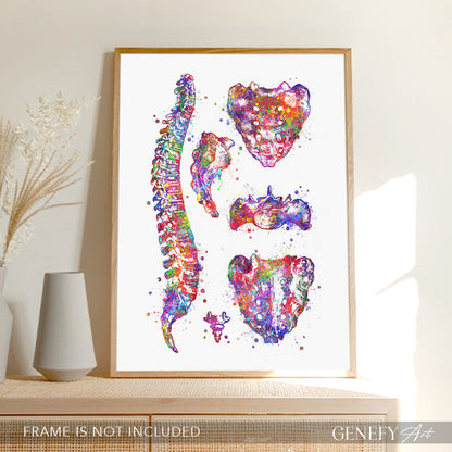 Human Spine Anatomy Watercolour Print