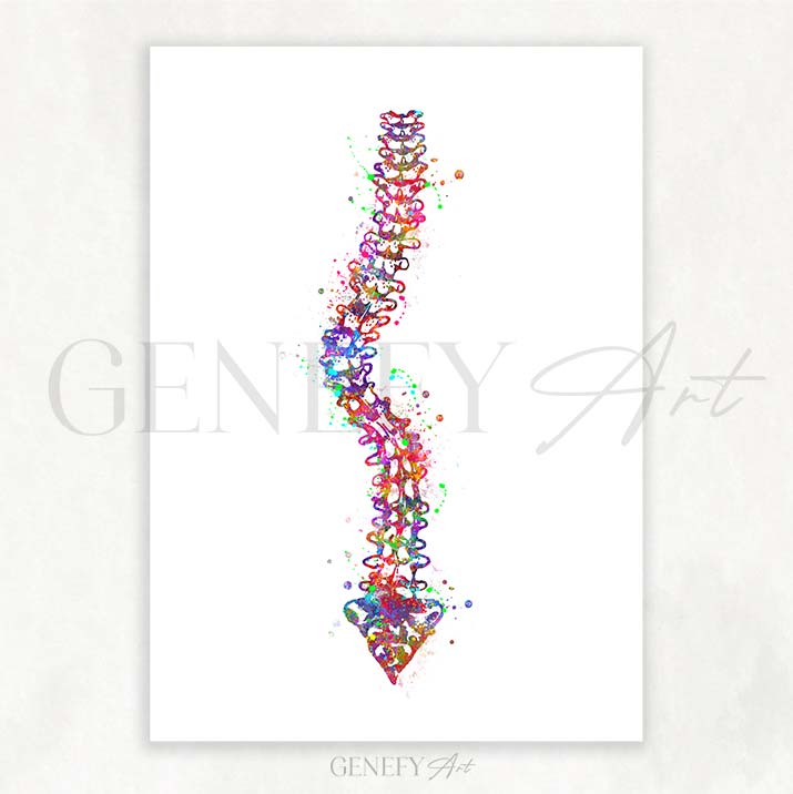 Spine with Scoliosis Watercolour Print