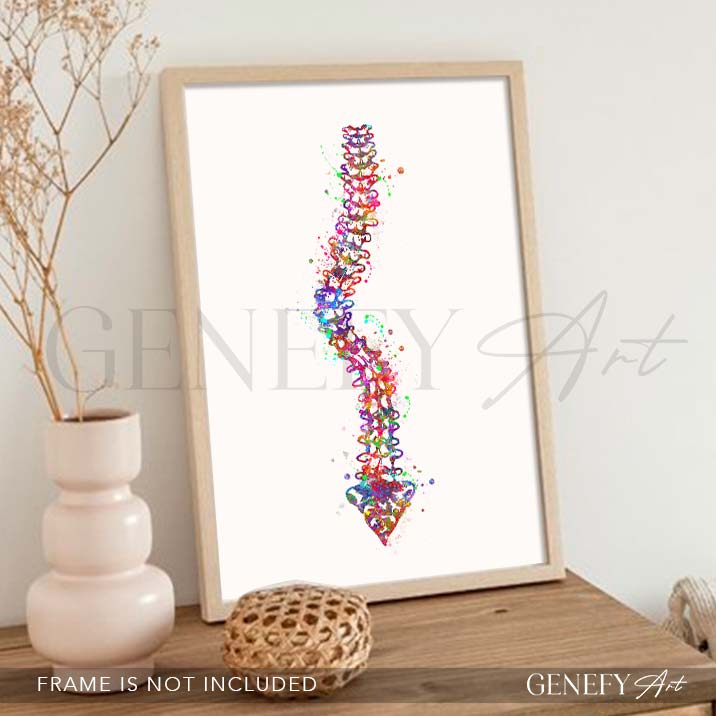 Spine with Scoliosis Watercolour Print