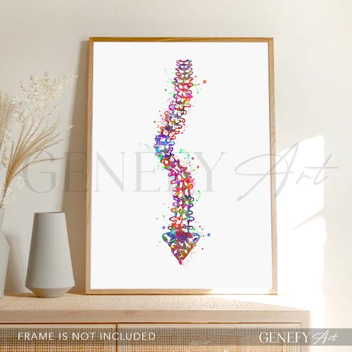 Spine with Scoliosis Watercolour Print